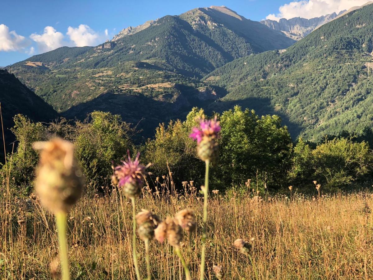Pirineosnature Apartments Сан Хуан де План Екстериор снимка